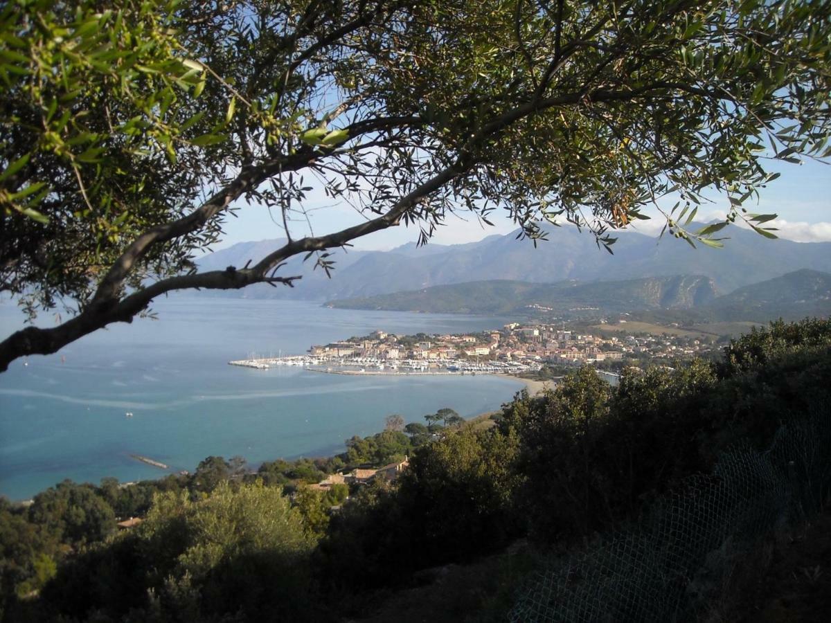 La Marquise Appartement Bastia  Buitenkant foto
